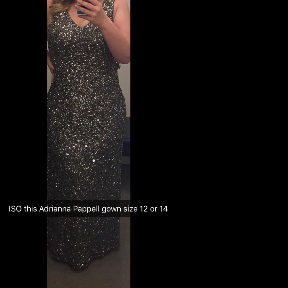 ISO this Adrianna Papell evening gown. Size 12 14